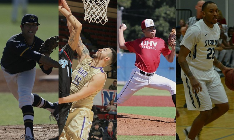 Alumni Suns: Class of 2016