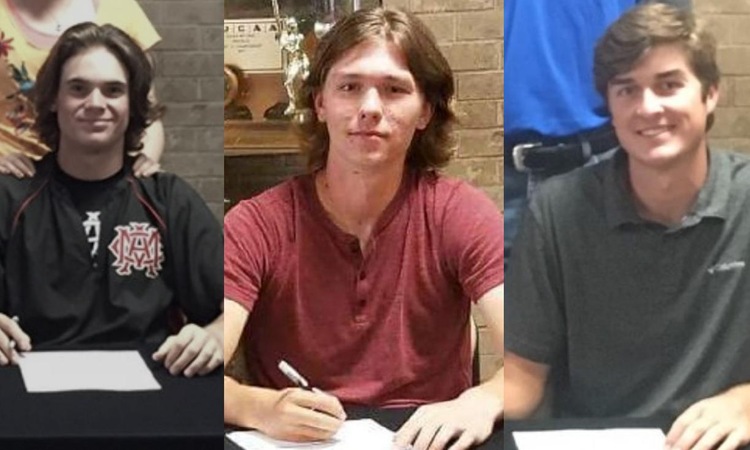 Suns Baseball Adds Griffin, Lynch, and Moore